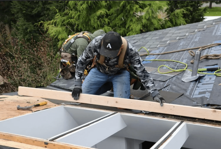 Skilled Roofing cleaning