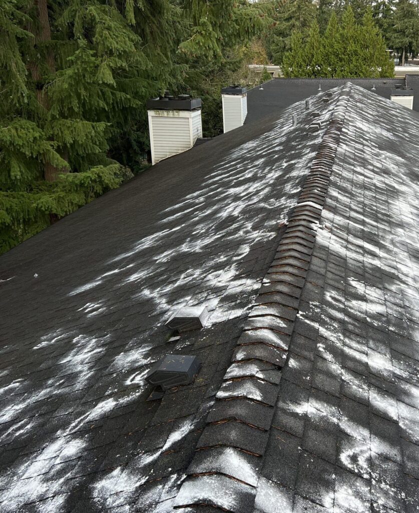 Roof Cleaning