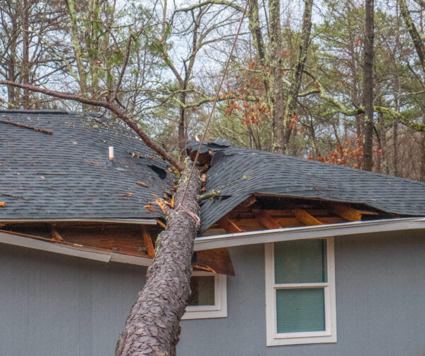 Skilled Roofing
