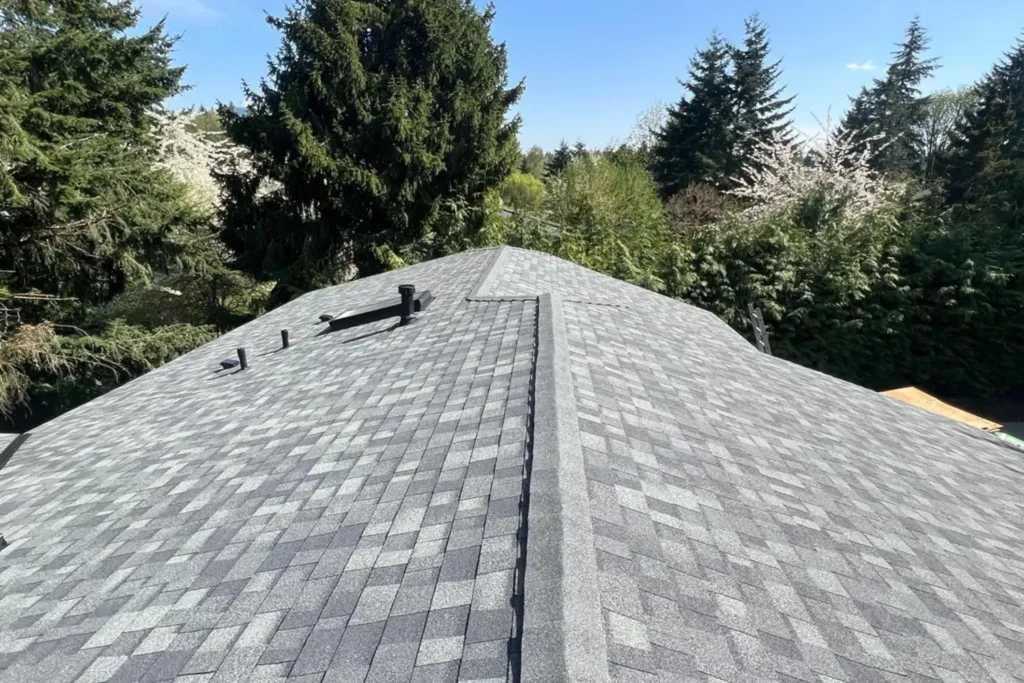 Skilled Roofing