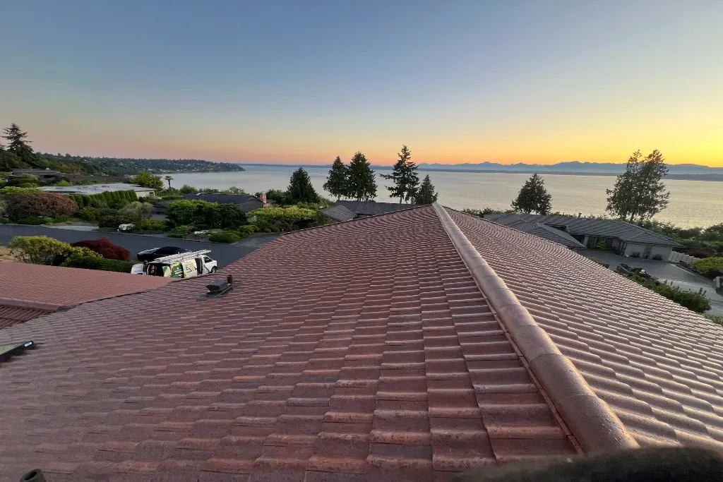 leaky roof repair in Lynnwood