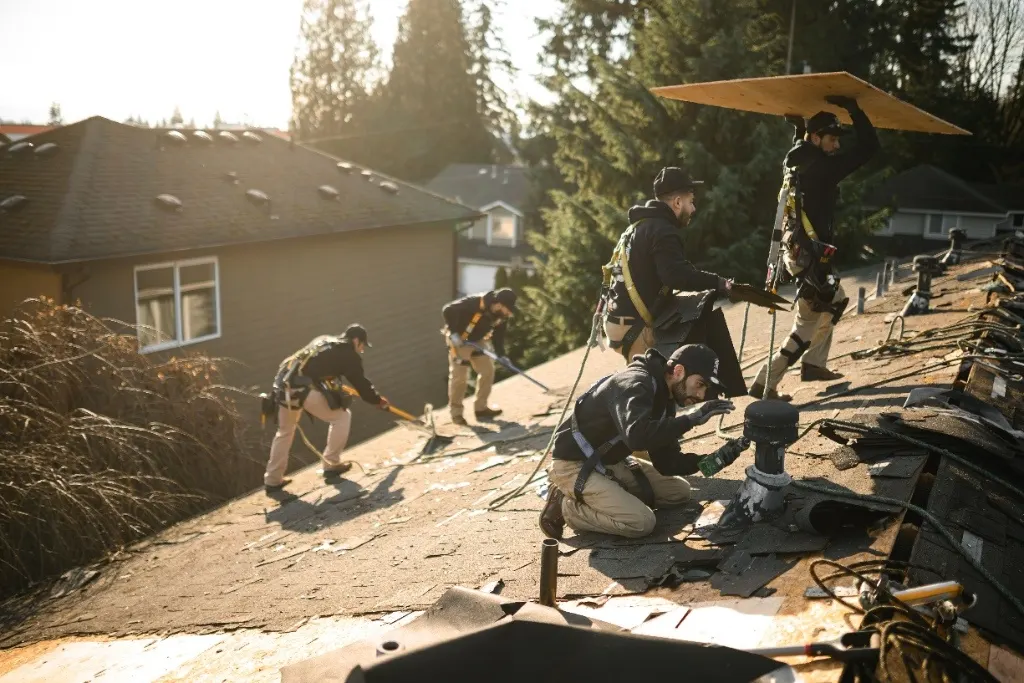 roof repair in Lynnwood