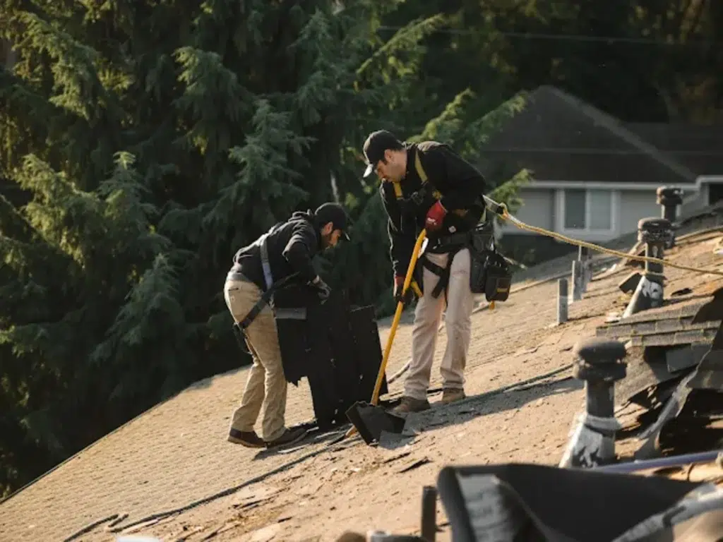 Roof Repair in Everett, WA