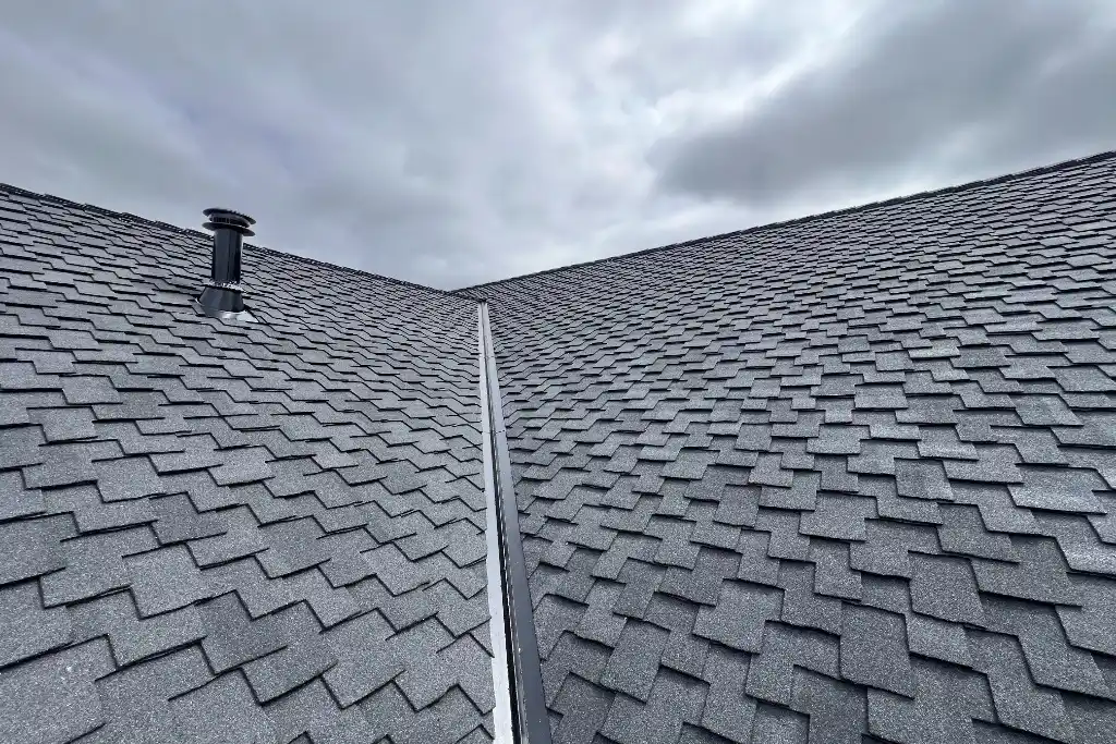 roof cleaning in Lynnwood