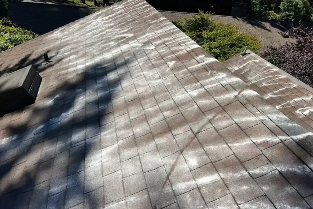 roof cleaning in Lynnwood