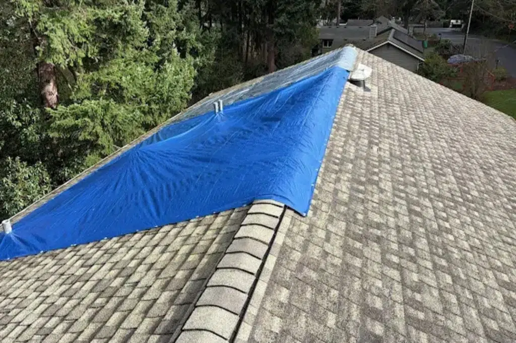 Other Roofing Services