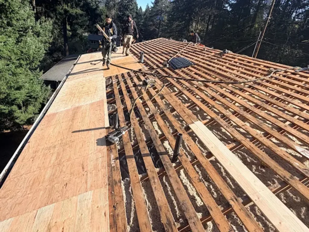 New Roof Construction in Everett, WA