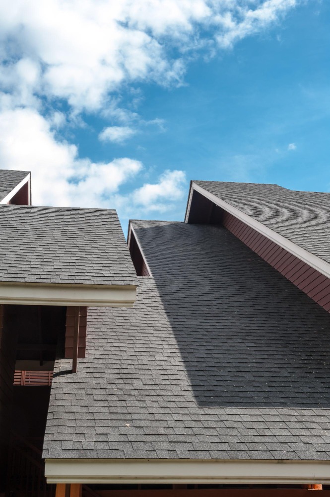 New Roof Construction in Everett, WA