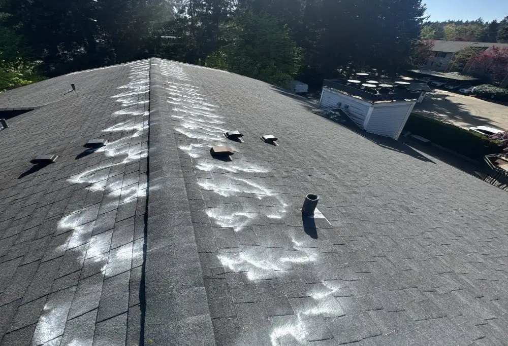 Skilled Roofing