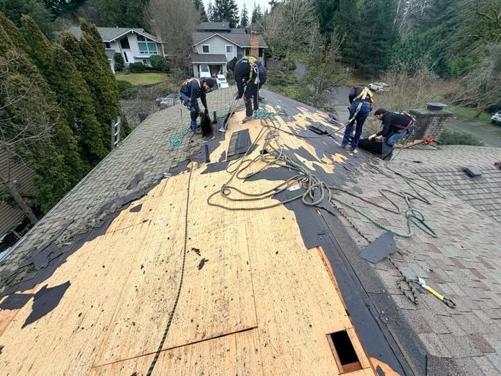 Roof Repair for Mill Creek Homes