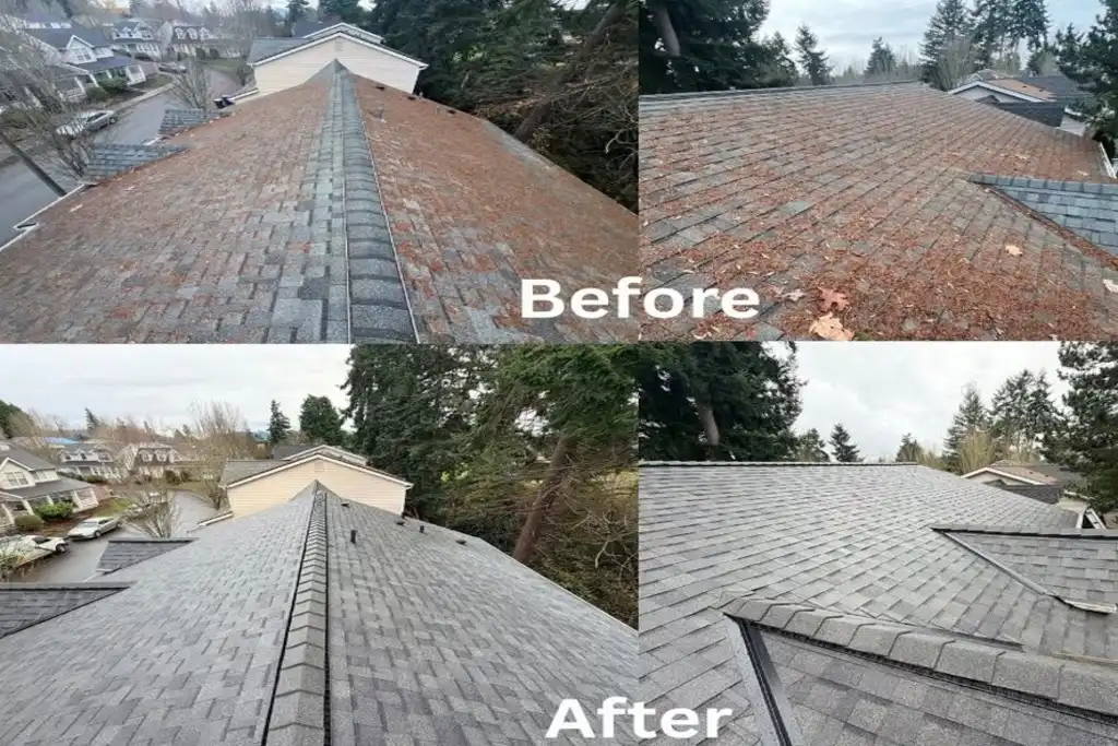 roof cleaning service near me Lynnwood