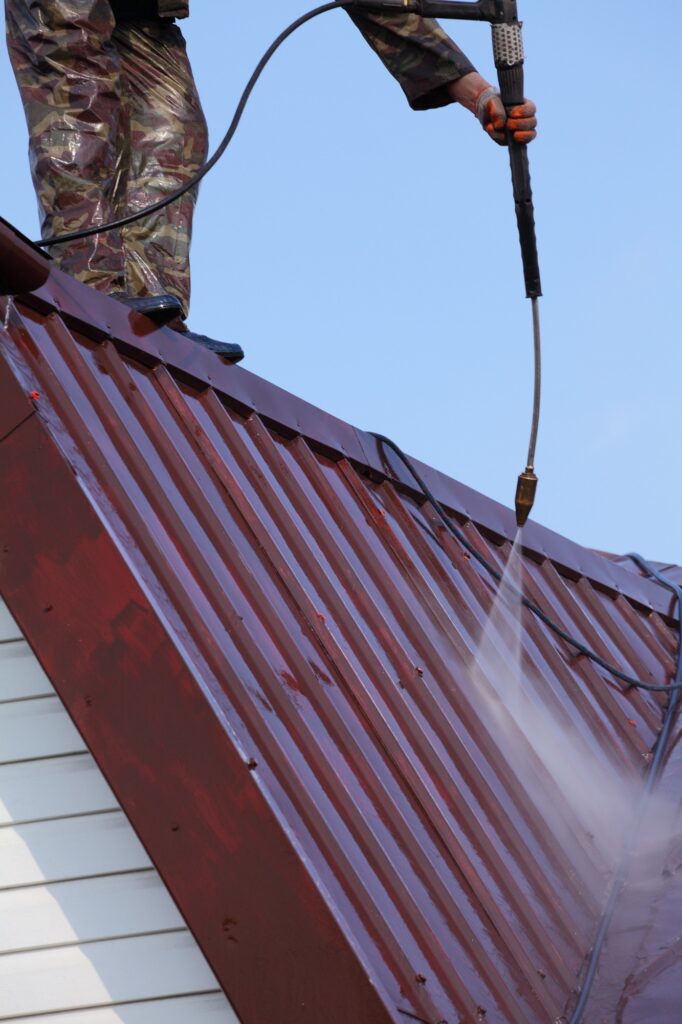 Professional Roof Cleaning in Everett