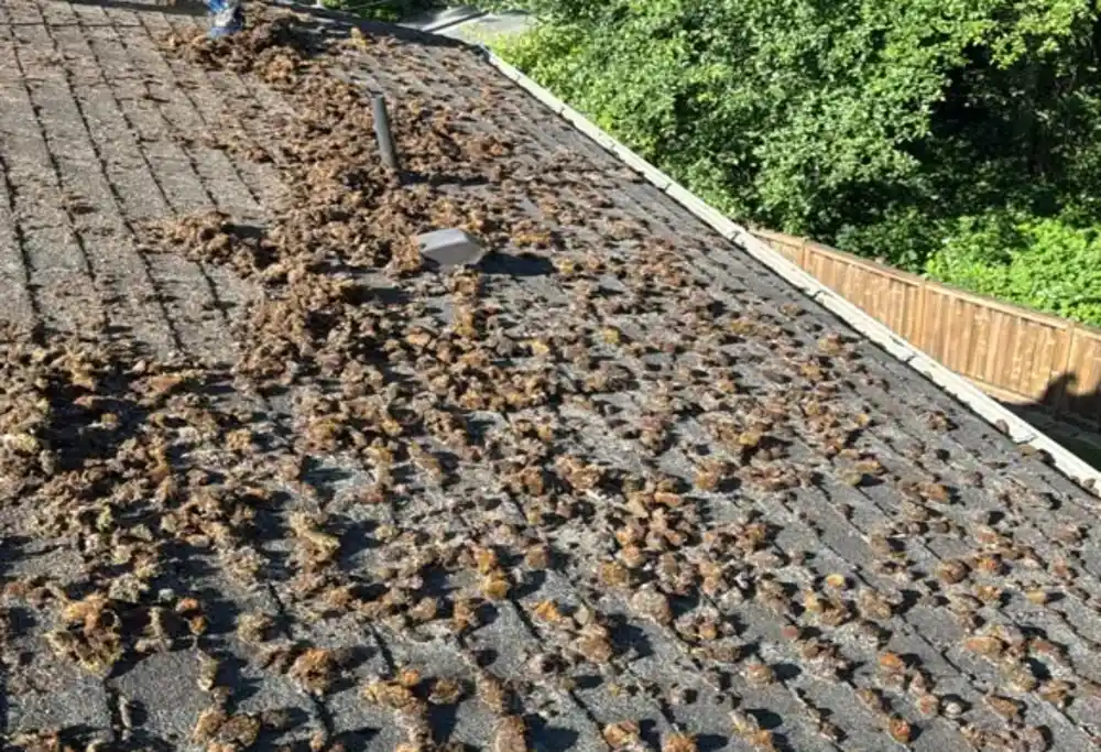 skilled roofing