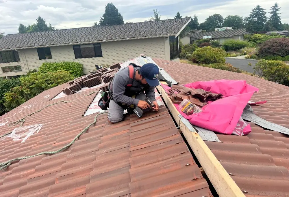 Roof Replacement