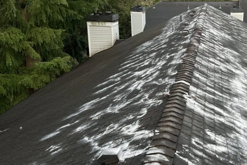 roof cleaning near me Lynnwood