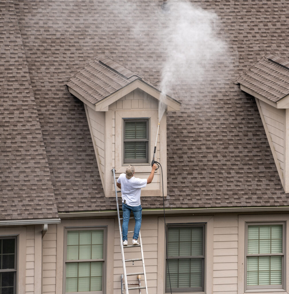 Professional Roof Cleaning in Everett