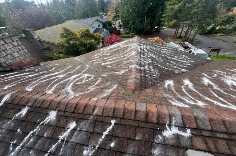 Skilled Roofing