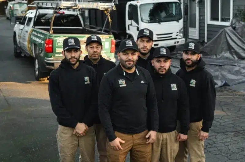 professional roof inspection