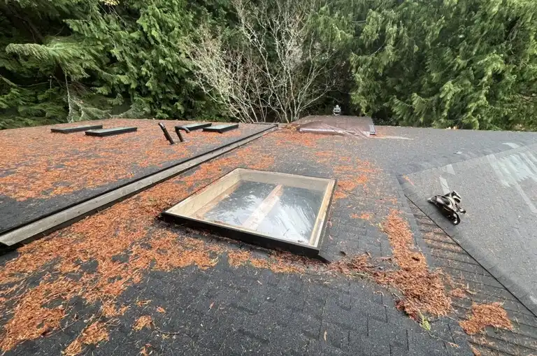 roof cleaning in Edmonds