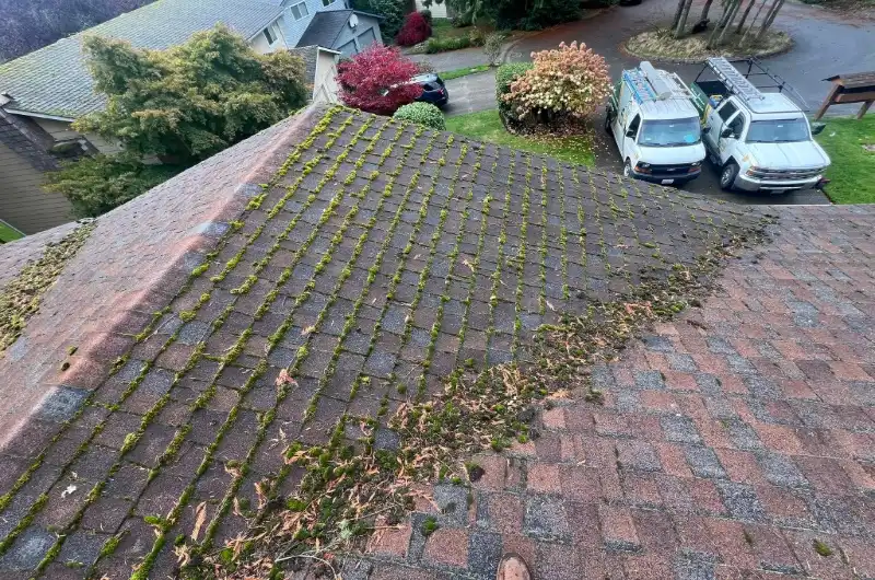 Skilled Roofing
