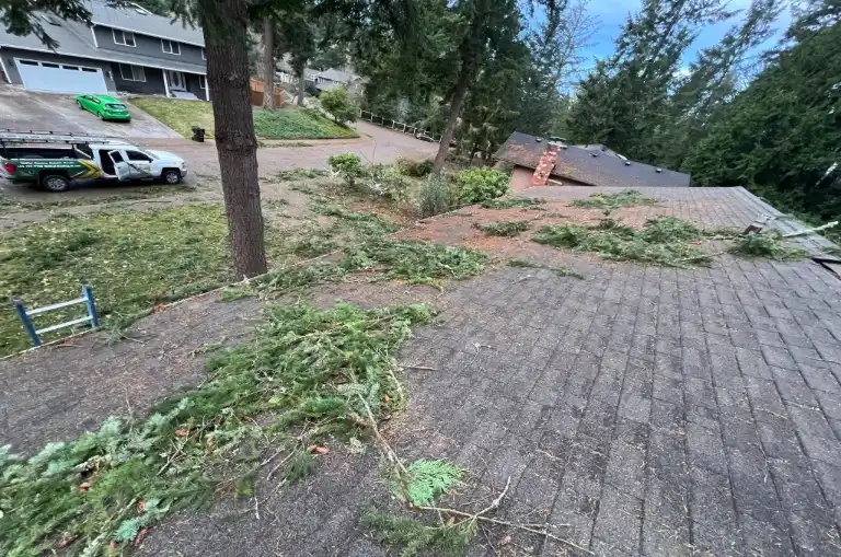 roof cleaning in Lynnwood