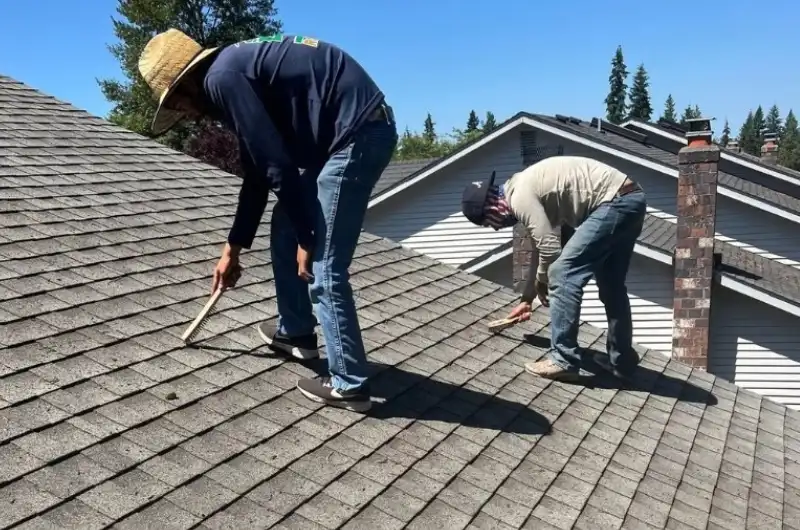 roof cleaning in Mill Creek home in an HOA community; clean roof meeting HOA standards in Mill Creek; roofers near Mill Creek inspecting a roofline