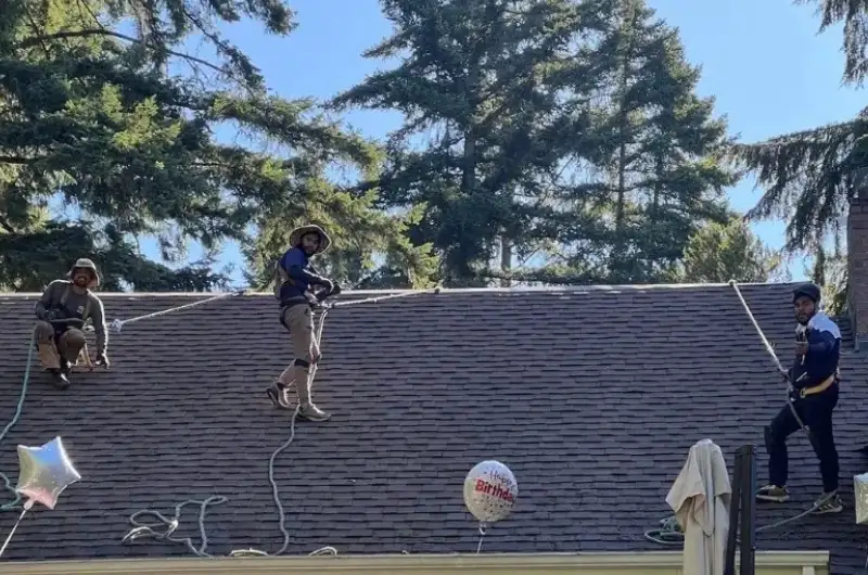 soft-wash roof cleaning near Alderwood Manor roofing contractors near Alderwood Manor inspecting a mossy roof