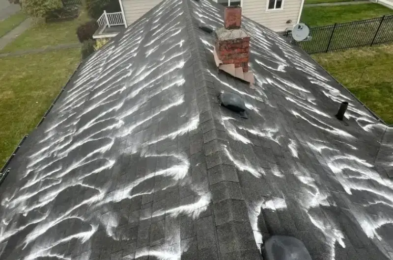 soft-wash roof cleaning near Alderwood Manor; roofing contractors near Alderwood Manor inspecting a mossy roof