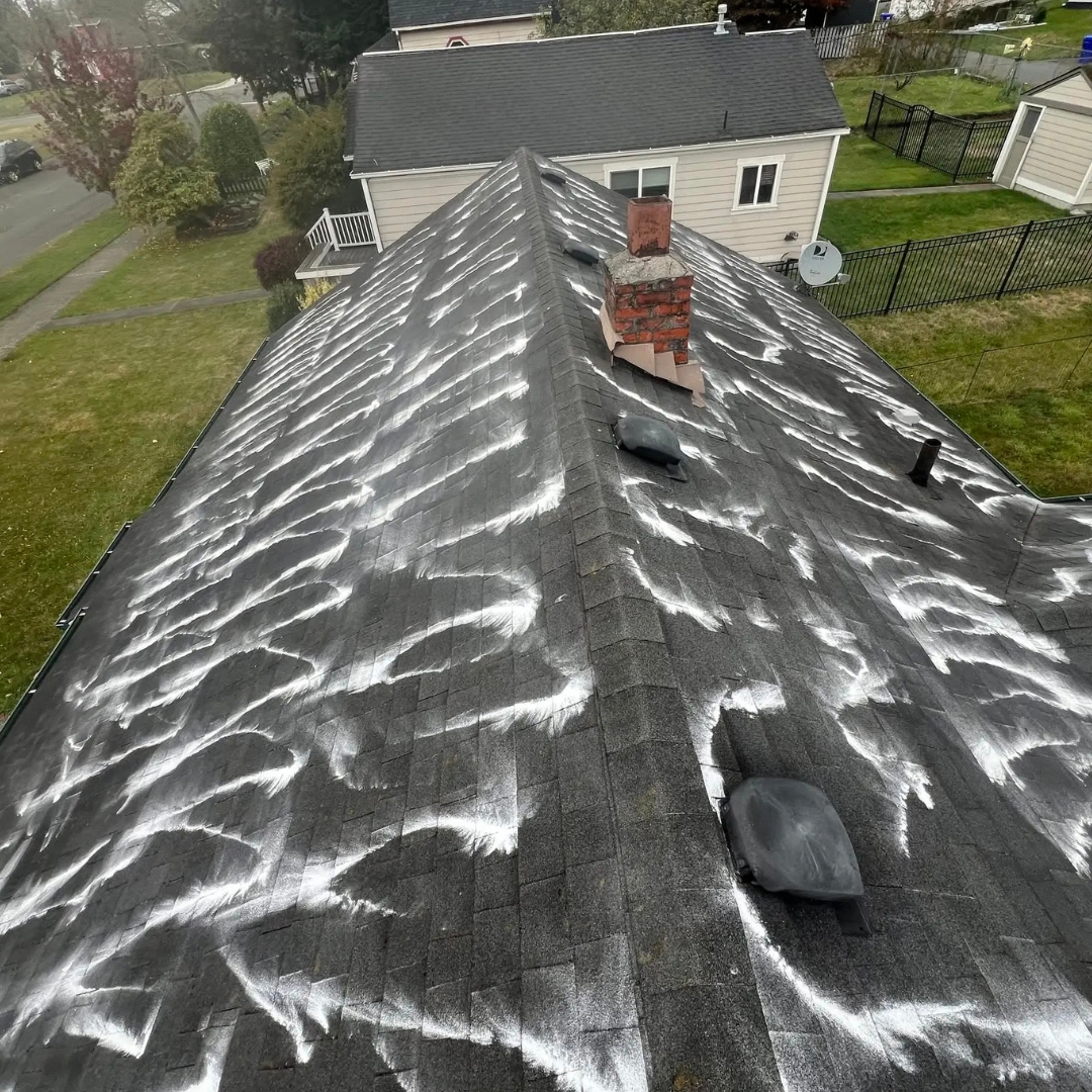Roof Cleaning