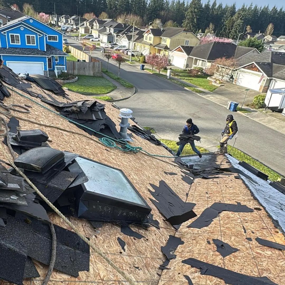 Roof Replacement